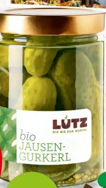Interspar Bio jausengurkerl Angebot