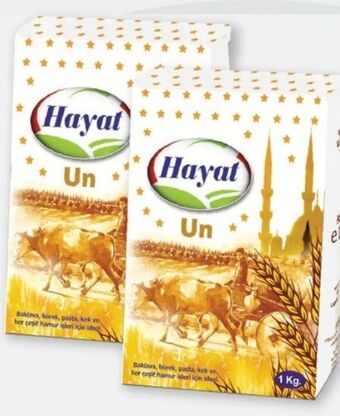 ETSAN Weizenmehl Angebot