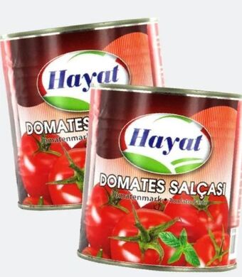 ETSAN Tomatenmark Angebot