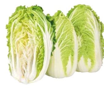 Transgourmet Chinakohl Angebot