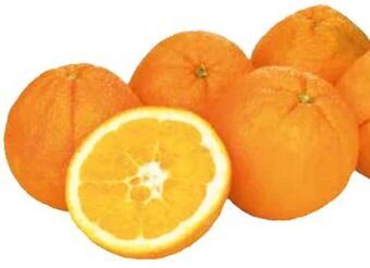 Transgourmet Orangen Angebot