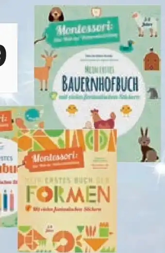 Lidl Montessori buch Angebot