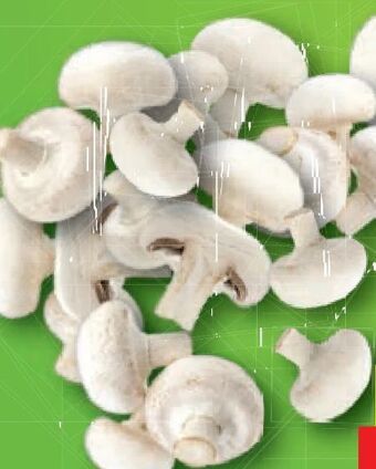 Lidl Champignons Angebot
