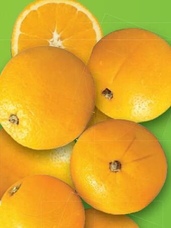 Lidl Orangen Angebot