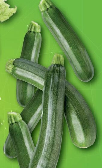 Lidl Zucchini Angebot
