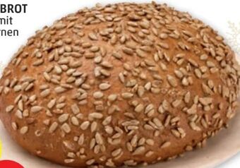 PENNY Sonnenblumenbrot Angebot