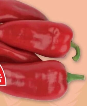 PENNY Spitzpaprika Angebot