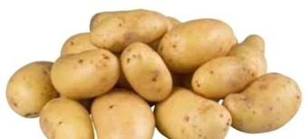 Transgourmet Kartoffeln Angebot