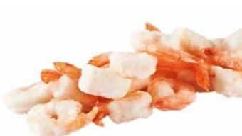 Transgourmet Seawater garnelen Angebot