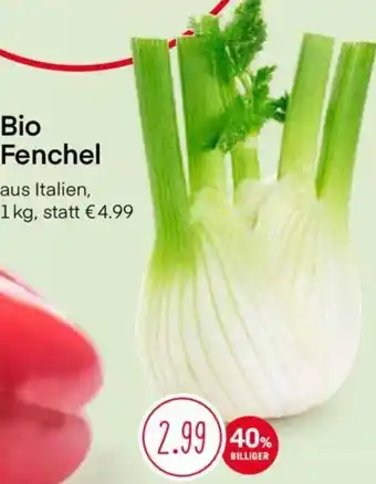 MPreis Bio Fenchel 1 kg Angebot