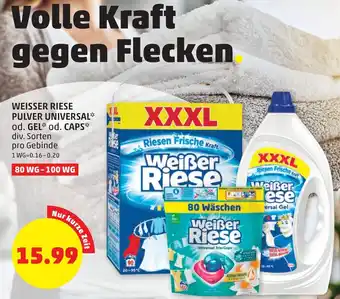 PENNY Weisser Riese Pulver Universal od. Gel Angebot