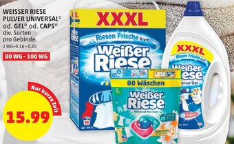 PENNY Weisser Riese Pulver Universal od. Gel od. Caps Angebot