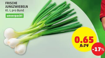 PENNY Frische Jungzwiebeln Angebot