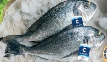 Metro Goldbrasse Angebot