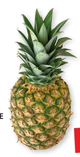 SPAR Gourmet Ananas Angebot