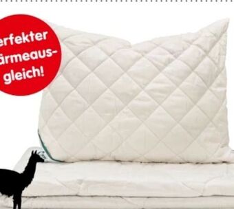 Interspar Frankenstolz polster baby alpaka Angebot