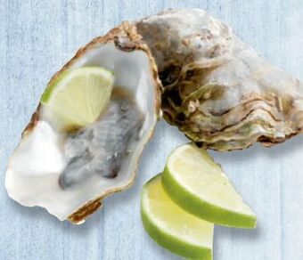 Metro Austern Angebot