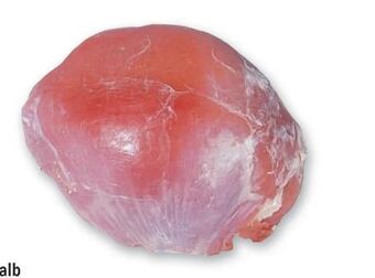 Metro Kalbs nuss Angebot