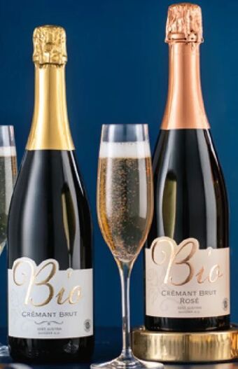 Hofer Bio-sekt crémant brut Angebot