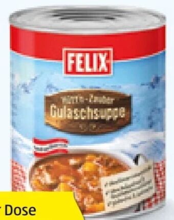Hofer Fertiggerichte Angebot