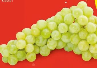 Hofer Trauben Angebot