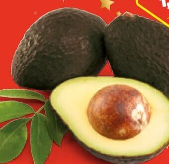 Hofer Avocados Angebot