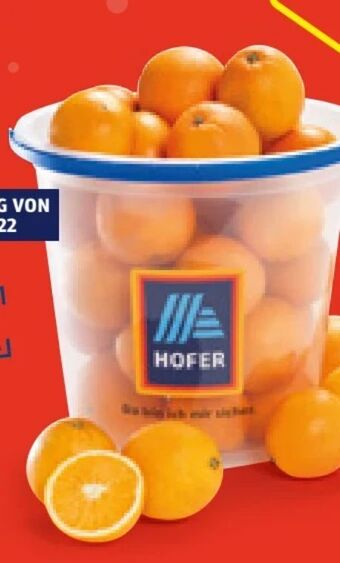 Hofer Orangen Angebot