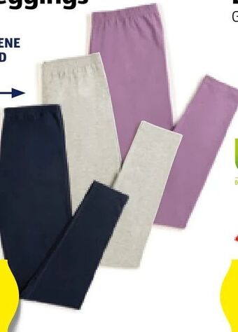 Hofer Damen-leggings Angebot