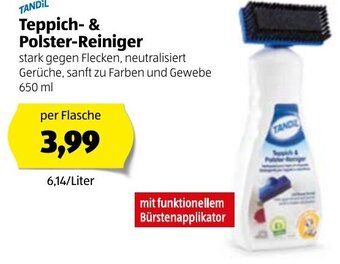 Hofer Tandil Teppich-& Polster-Reiniger 650ml Angebot