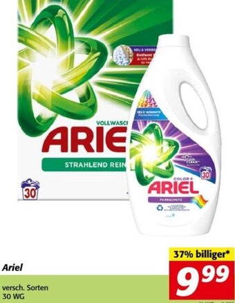 Nah&Frisch Ariel 30 WG Angebot