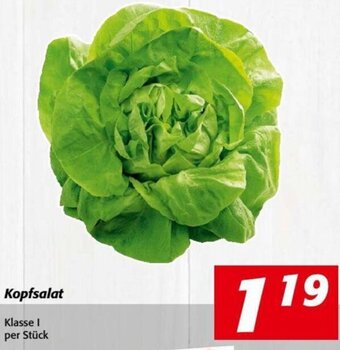 Nah&Frisch Kopfsalat Angebot