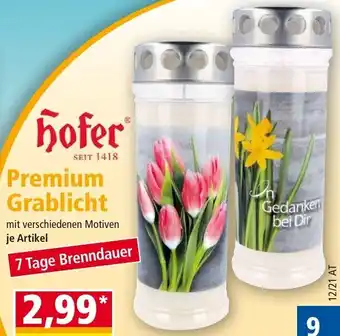 Norma Hofer Premium Grablicht Angebot