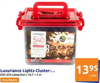 Action Luxuriance Lights Cluster 540 LED Angebot