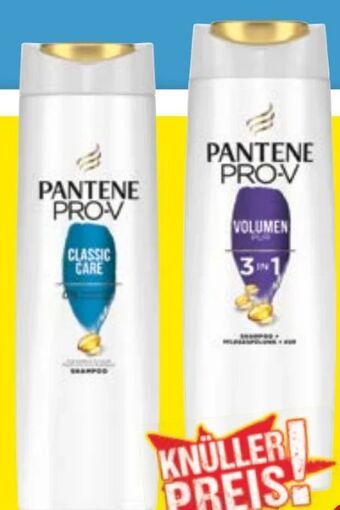 Maximarkt Shampoo Angebot