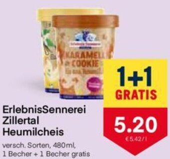 MPreis ErlebnisSennerei Zillertal Heumilcheis 480ml Angebot