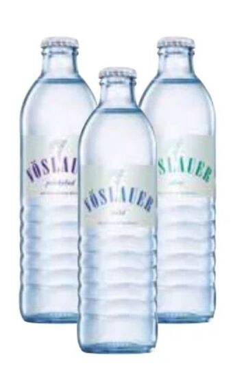 Transgourmet Mineralwasser Angebot