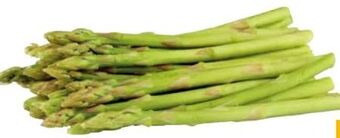 Transgourmet Baby spargel Angebot