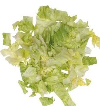 Transgourmet Eisbergsalat Angebot
