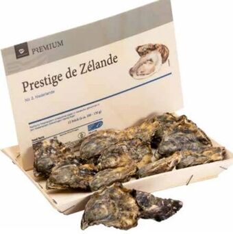 Transgourmet Auster prestige de zélande Angebot