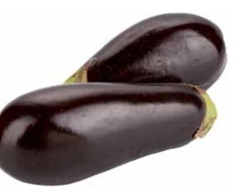 Transgourmet Melanzani Angebot