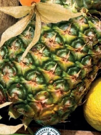 Lidl Ananas Angebot