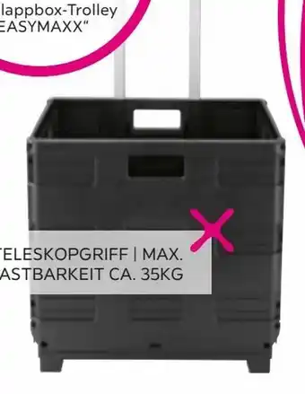 Mömax Klappbox-Trolley Easymaxx Angebot