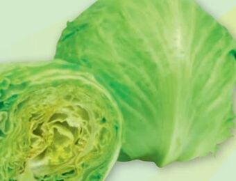 PENNY Eissalat Angebot