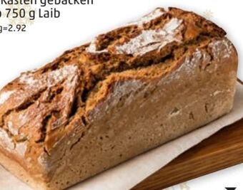 PENNY Roggenbrot Angebot