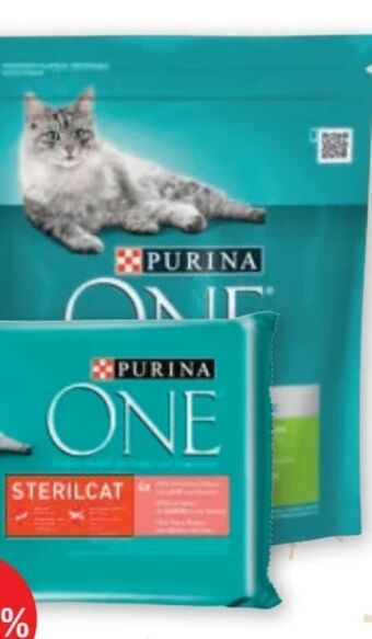 PENNY One katzennahrung Angebot