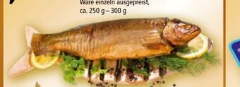 Norma Geräucherte forelle Angebot