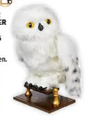 Müller Harry potter interaktive eule hedwig Angebot