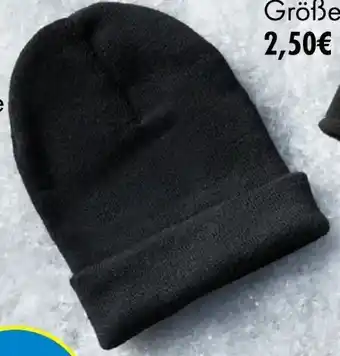 TEDi Damen mützen Angebot