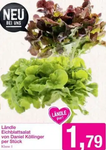 Sutterlüty Ländle Eichblattsalat von Daniel Köllinger per Stk. Angebot