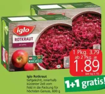 Spar Iglo Rotkraut 600 g Angebot